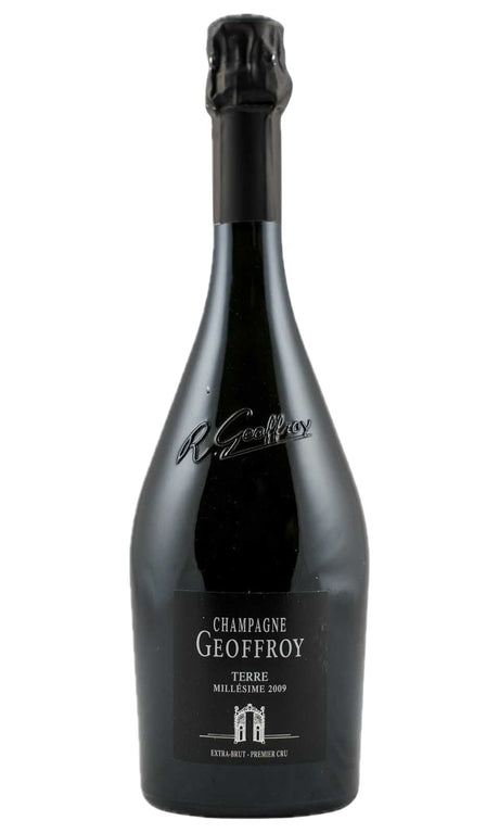 Bottle of R Geoffroy, Champagne Terre Millesime Extra-Brut, 2009 - Sparkling Wine - Flatiron Wines & Spirits - New York