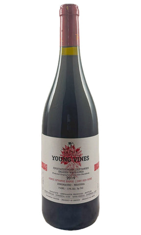 Bottle of Tatsis, Xinomavro-Negoska Young Vines, 2019 - Red Wine - Flatiron Wines & Spirits - New York