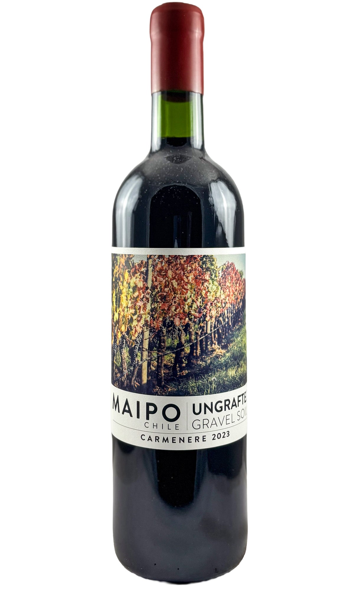 Bottle of Ungrafted, Carmenere, 2023 - Red Wine - Flatiron Wines & Spirits - New York