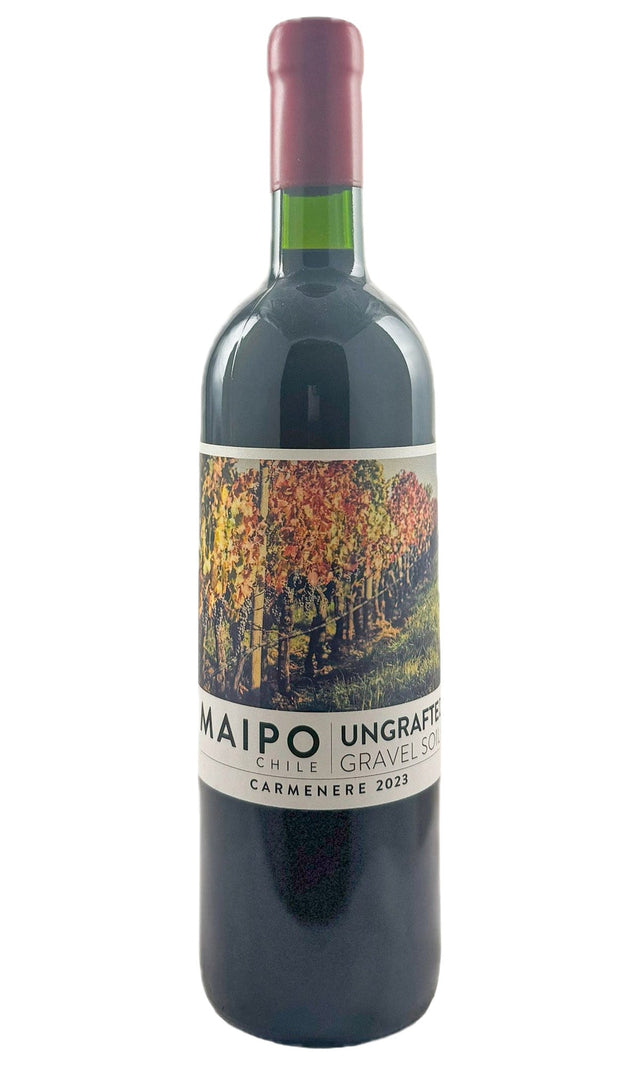 Bottle of Ungrafted, Carmenere, 2023 - Red Wine - Flatiron Wines & Spirits - New York