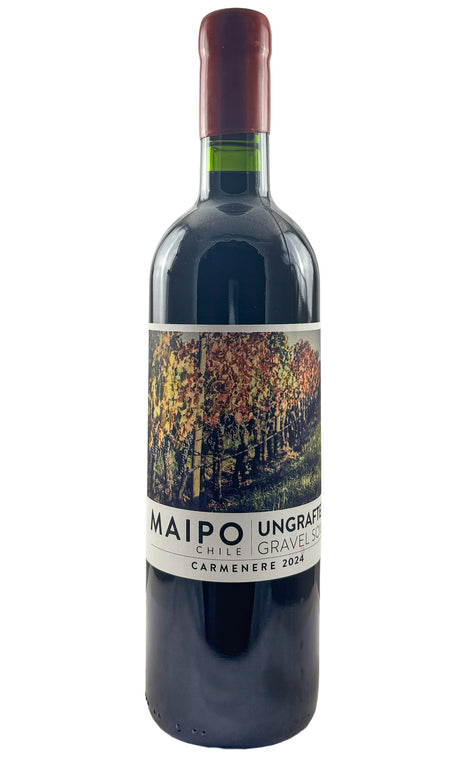Bottle of Ungrafted, Carmenere, 2024 - Red Wine - Flatiron Wines & Spirits - New York