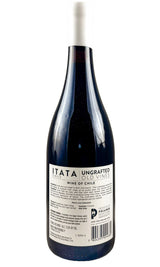 Bottle of Ungrafted, Old Vines Cinsault, 2025 - Red Wine - Flatiron Wines & Spirits - New York