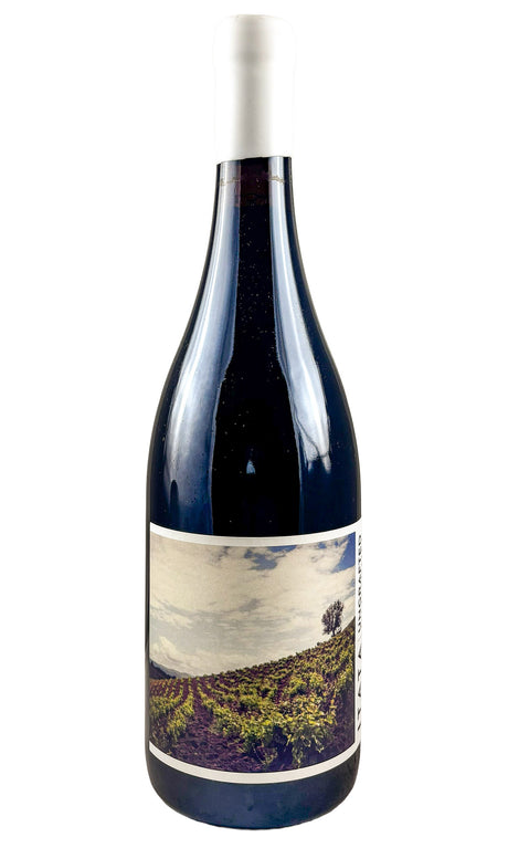 Bottle of Ungrafted, Old Vines Cinsault, 2025 - Red Wine - Flatiron Wines & Spirits - New York