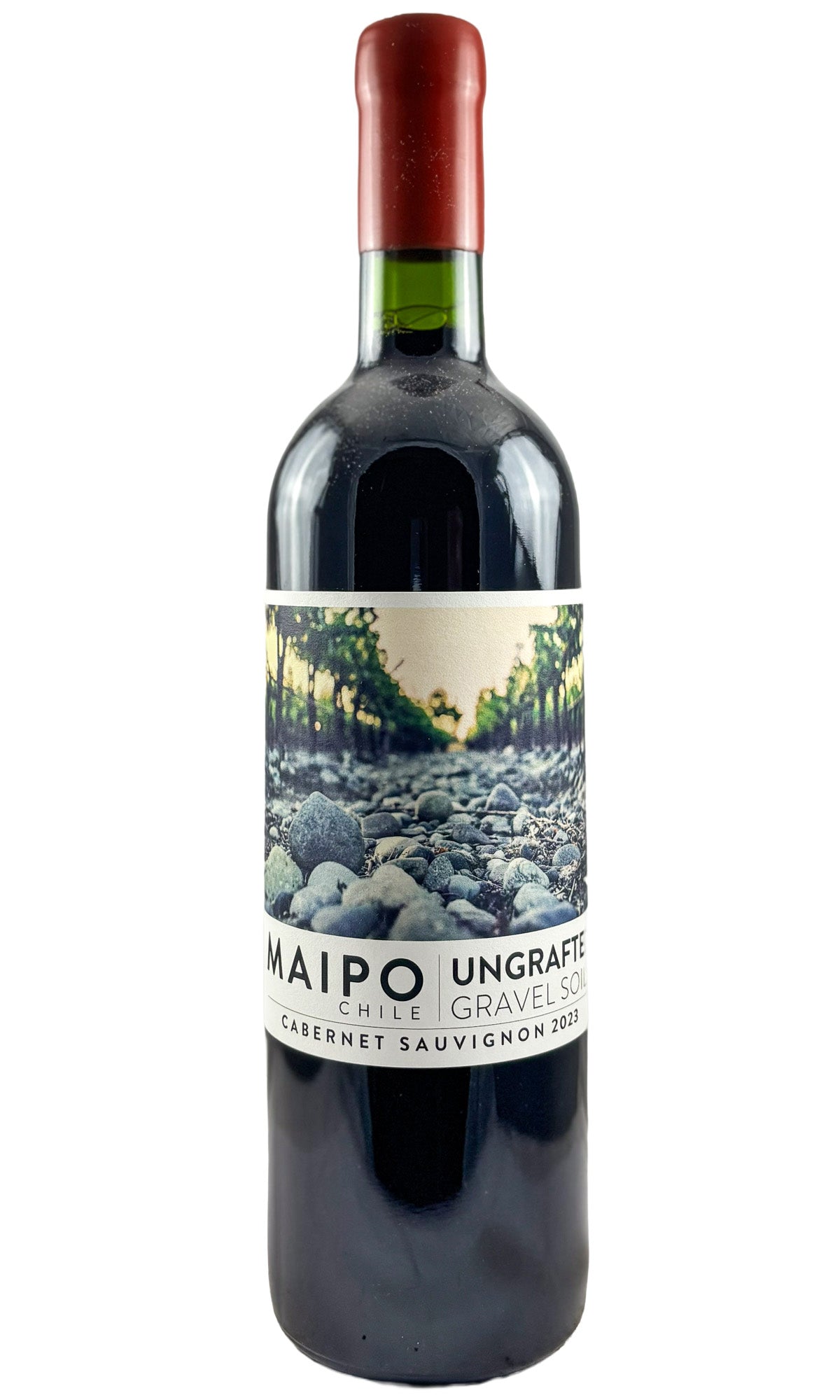Bottle of Ungrafted, Valle del Maipo Cabernet Sauvignon, 2023 - Red Wine - Flatiron Wines & Spirits - New York