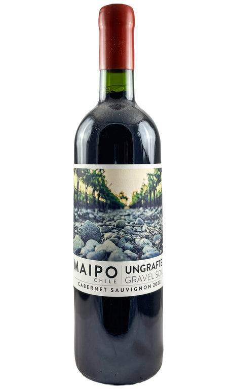 Bottle of Ungrafted, Valle del Maipo Cabernet Sauvignon, 2023 - Red Wine - Flatiron Wines & Spirits - New York