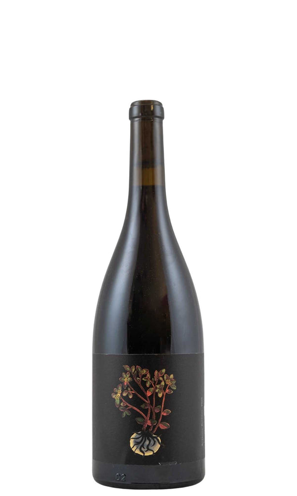 Bottle of Tailleurs Cueilleurs, Kove VDF Red, 2021 - Red Wine - Flatiron Wines & Spirits - New York